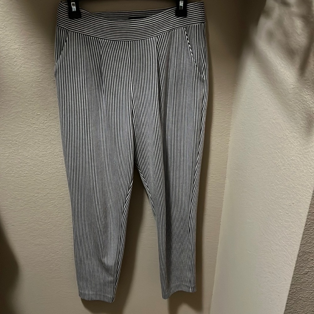 Express pleated elastic waist cropped pants